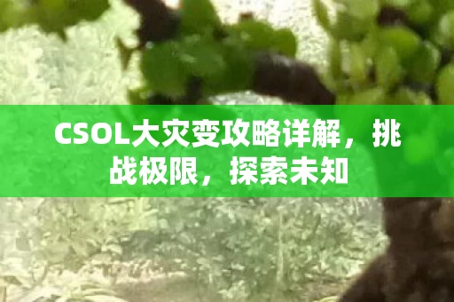 CSOL大灾变攻略详解图片
