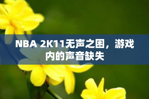 NBA 2K11无声之困图片