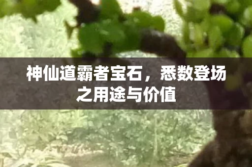 悉数登场之用途与价值图片