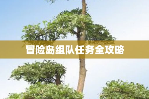 冒险岛组队任务全攻略图片