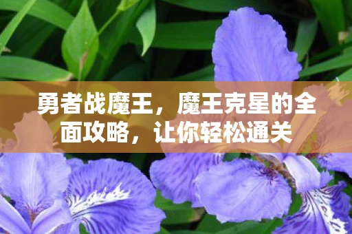 魔王克星的全面攻略图片