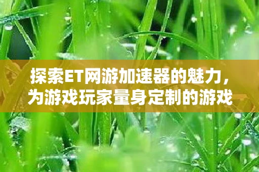 为游戏玩家量身定制的游戏体验升级利器图片