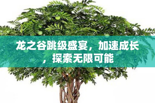 龙之谷跳级盛宴图片