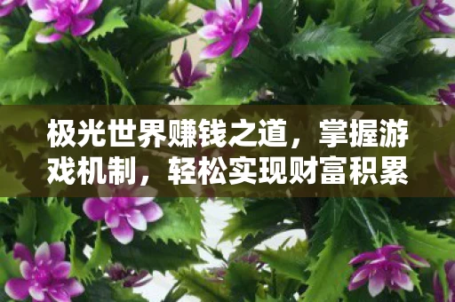 极光世界赚钱之道图片