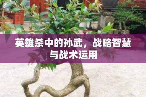 战略智慧与战术运用图片