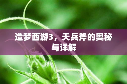 天兵斧的奥秘与详解图片