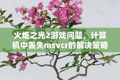 计算机中丢失msvcr的解决策略图片