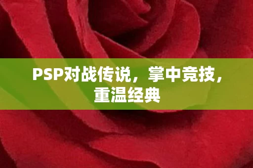 PSP对战传说图片