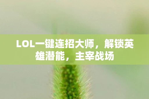 LOL一键连招大师图片