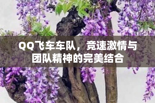竞速激情与团队精神的完美结合图片