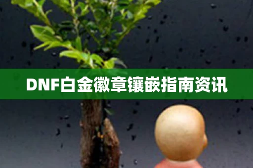 DNF白金徽章镶嵌指南资讯图片