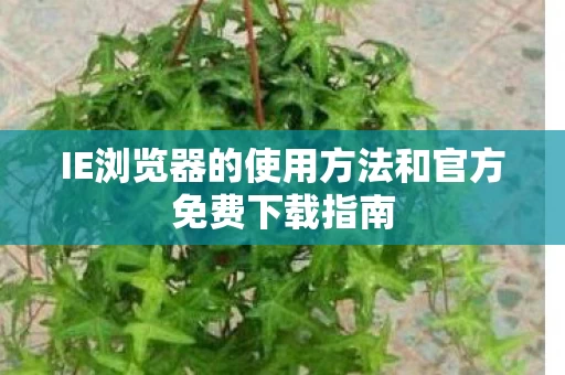 IE浏览器的使用方法和官方免费下载指南图片