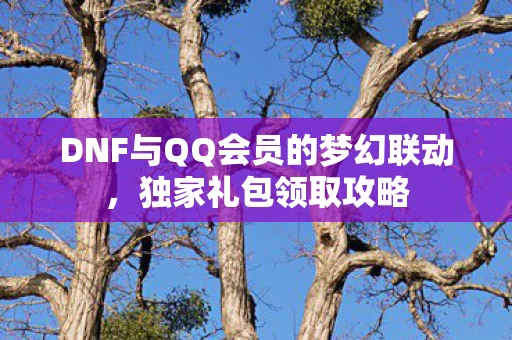 DNF与QQ会员的梦幻联动图片