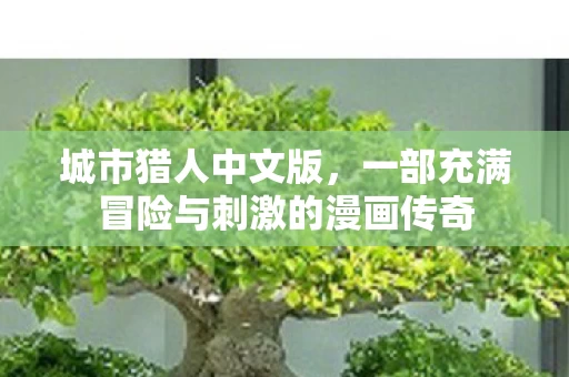 一部充满冒险与刺激的漫画传奇图片