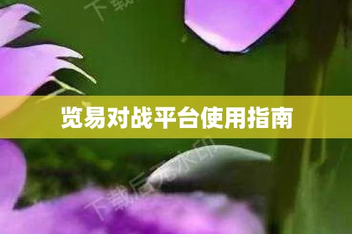 览易对战平台使用指南图片