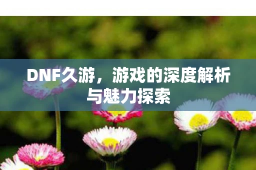 游戏的深度解析与魅力探索图片