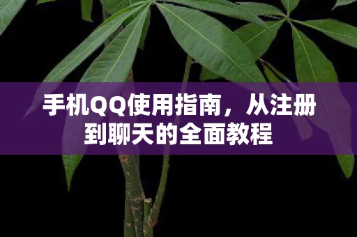 从注册到聊天的全面教程图片