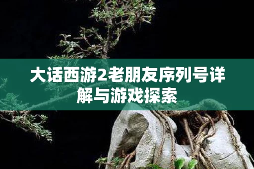 大话西游2老朋友序列号详解与游戏探索图片