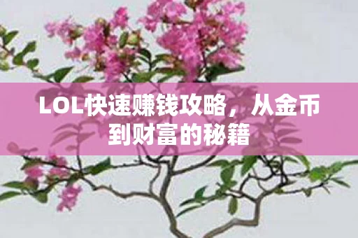 LOL快速赚钱攻略图片