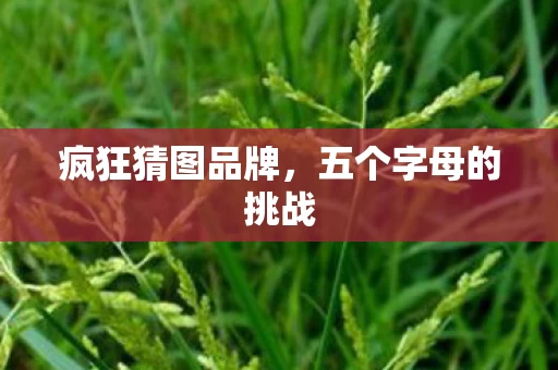 五个字母的挑战图片