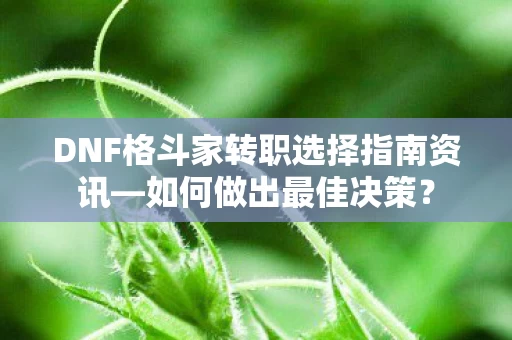 DNF格斗家转职选择指南资讯图片
