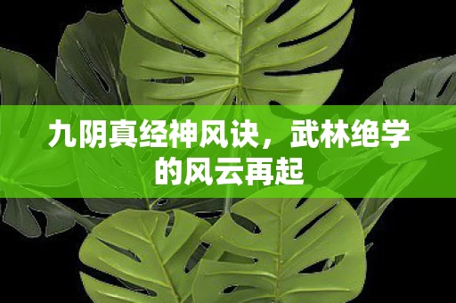 武林绝学的风云再起图片