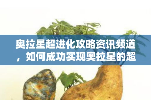 如何成功实现奥拉星的超进化图片