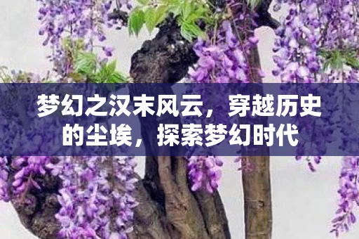 梦幻之汉末风云图片