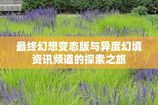 最终幻想变态版与异度幻境资讯频道的探索之旅图片
