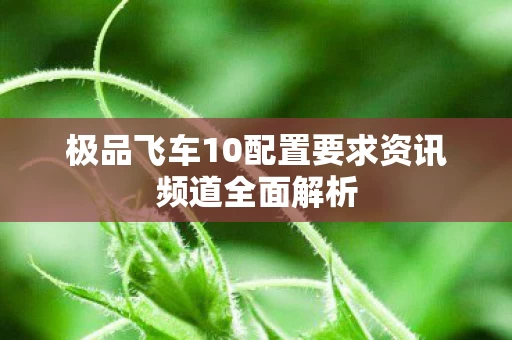 极品飞车10配置要求资讯频道全面解析图片
