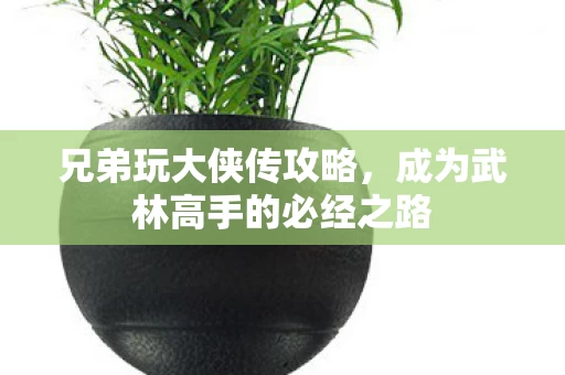 成为武林高手的必经之路图片