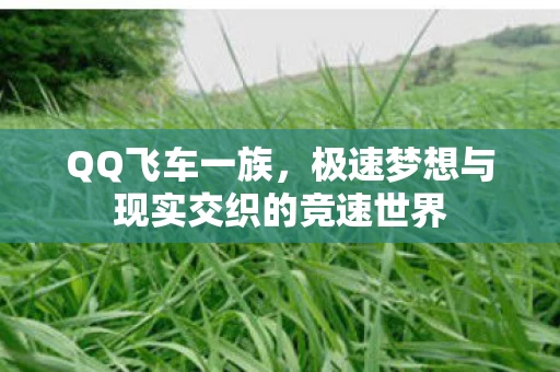 极速梦想与现实交织的竞速世界图片