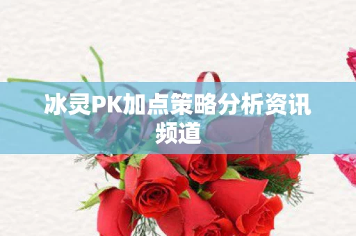冰灵PK加点策略分析资讯频道图片