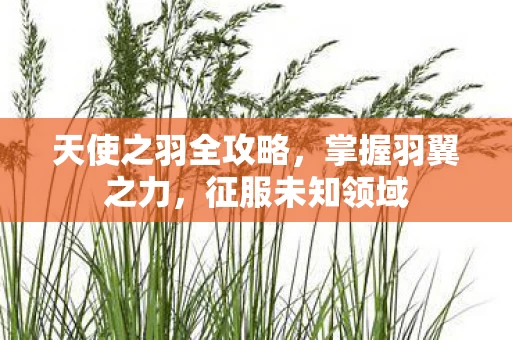 天使之羽全攻略图片