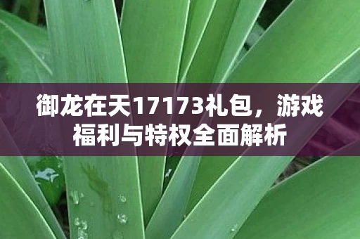 御龙在天17173礼包图片