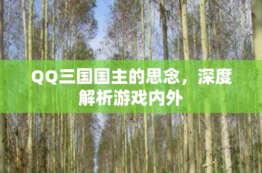 QQ三国国主的思念图片