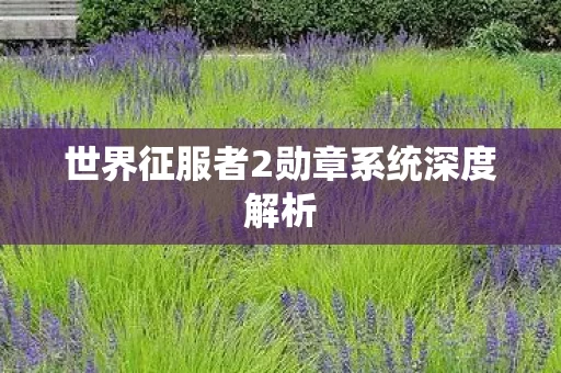 世界征服者2勋章系统深度解析图片