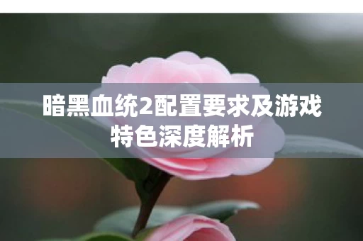 暗黑血统2配置要求及游戏特色深度解析图片
