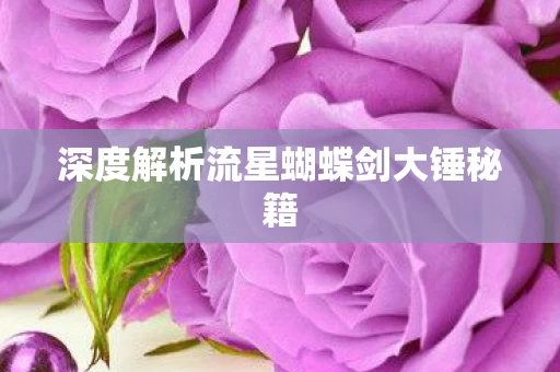 深度解析流星蝴蝶剑大锤秘籍图片