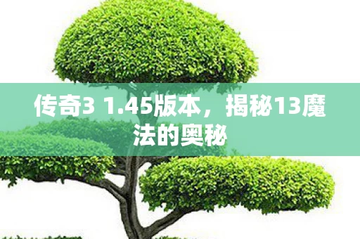 揭秘13魔法的奥秘图片
