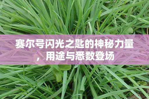 赛尔号闪光之匙的神秘力量图片