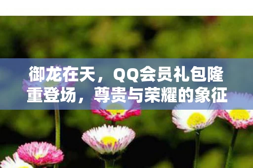 QQ会员礼包隆重登场图片