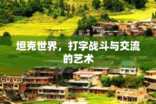 打字战斗与交流的艺术图片