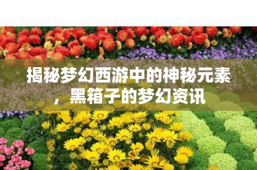 揭秘梦幻西游中的神秘元素图片