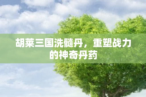 重塑战力的神奇丹药图片
