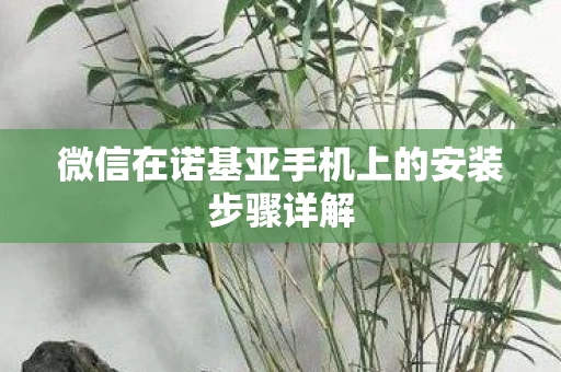微信在诺基亚手机上的安装步骤详解图片