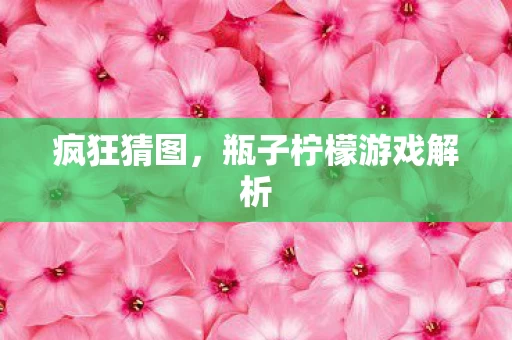 瓶子柠檬游戏解析图片