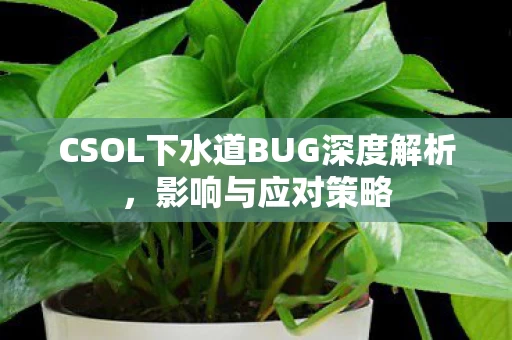 CSOL下水道BUG深度解析图片