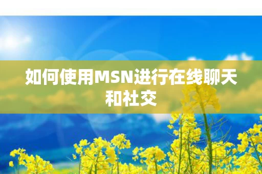 如何使用MSN进行在线聊天和社交图片