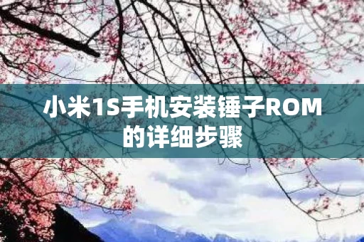 小米1S手机安装锤子ROM的详细步骤图片